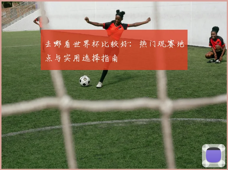 去哪看世界杯比较好：热门观赛地点与实用选择指南