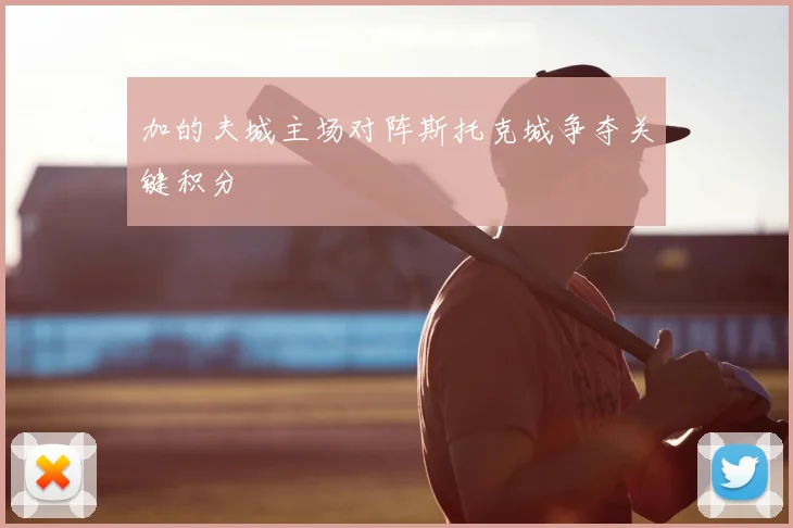 加的夫城主场对阵斯托克城争夺关键积分